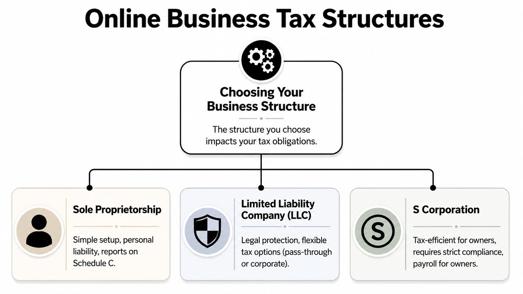 An infographic showing the three main types of online business tax structures: sole proprietorship, LLC, and S corporation.